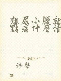 想尿小腹就有一点痛什么情况