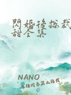 闪婚后总裁娇妻甜全集