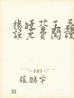 杨晓芬王磊看小说免费阅读