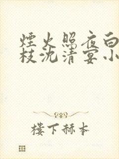 烟火照夜白温南枝沈清宴小说阅读