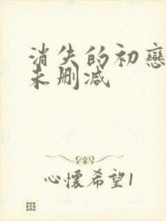 消失的初恋漫画未删减