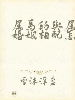 属马的与属狗的婚姻相配怎么样