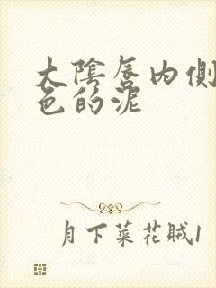 大阴唇内侧有白色的泥