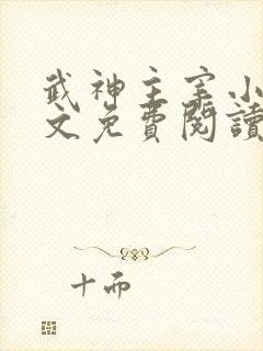 武神主宰小说全文免费阅读