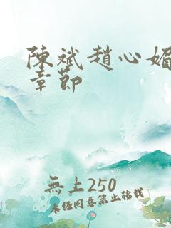 陈斌赵心媚全部章节