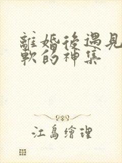 离婚后遇见了心软的神集