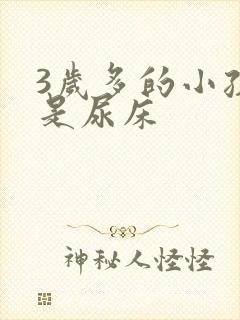 3岁多的小孩总是尿床