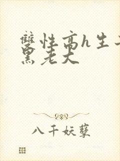 双性高h生子文黑老大