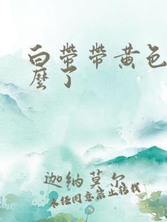 白带带黄色是怎么了