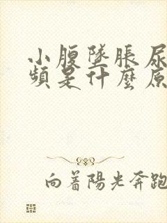 小腹坠胀尿急尿频是什么原因