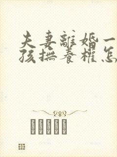 夫妻离婚一个小孩抚养权怎么判