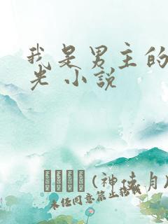 我是男主的白月光 小说