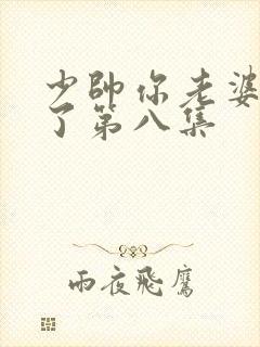 少帅你老婆又跑了第八集