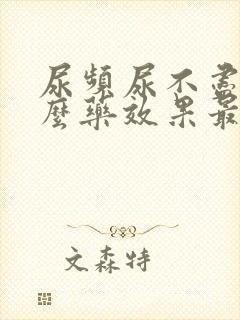 尿频尿不尽吃什么药效果最好