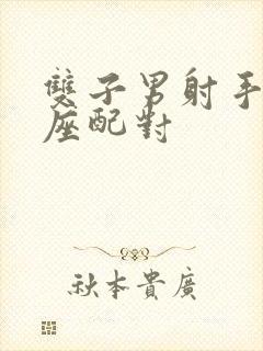 双子男射手女星座配对