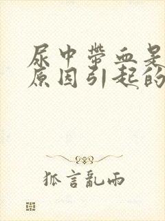 尿中带血是什么原因引起的