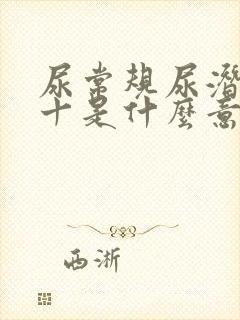 尿常规尿潜血1十是什么意思