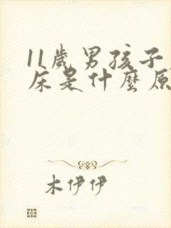 11岁男孩子尿床是什么原因