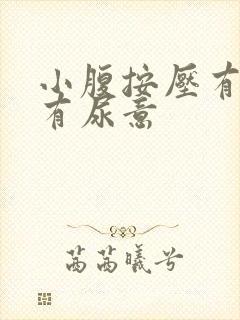 小腹按压有痛感有尿意