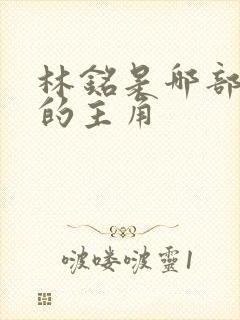 林铭是哪部小说的主角