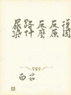 尿路反反复复感染什么原因