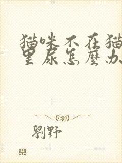 猫咪不在猫砂盆里尿怎么办