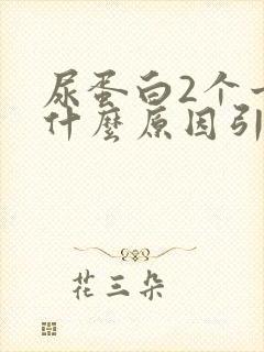 尿蛋白2个十是什么原因引起的