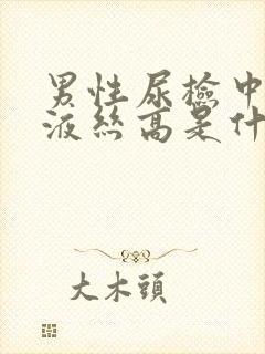 男性尿检中的粘液丝高是什么意思