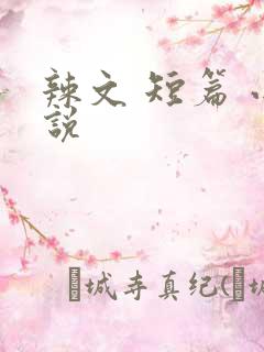 辣文 短篇 小说
