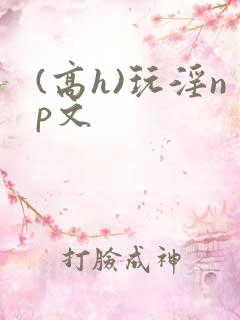 (高h)玩淫np文