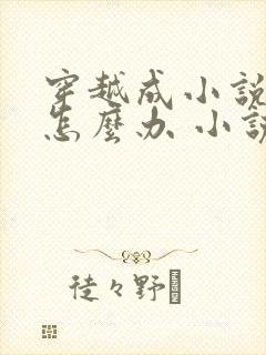 穿越成小说反派怎么办 小说