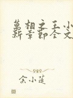 万相之王小说最新章节全文免费阅读