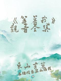 《等着我》免费观看全集