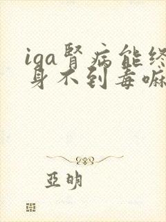 iga肾病能终身不到毒嘛