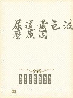 尿道黄色液体什么原因