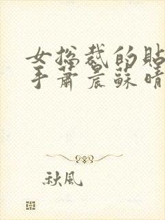 女总裁的贴身高手萧晨苏晴