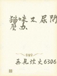 猫咪又尿闭了怎么办