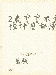 2岁宝宝不说话但什么都懂