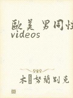 欧美 男同性 videos
