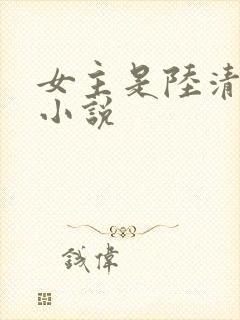 女主是陆清瑶的小说