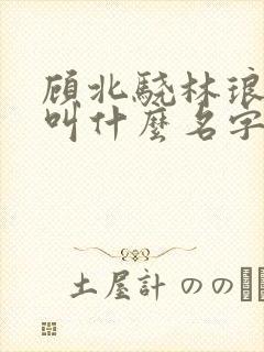 顾北骁林琅小说叫什么名字