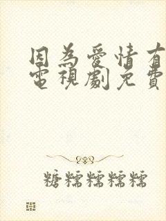 因为爱情有幸福电视剧免费观看完整版