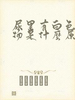 尿里有白色絮状物是什么原因