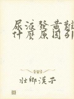 尿液发黄难闻是什么原因引起的女性