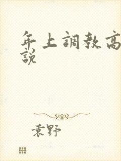 年上调教高h小说