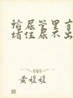 输尿管里有结石堵住尿不出来怎么办