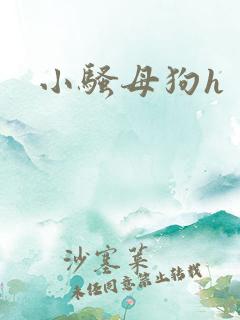 小骚母狗h