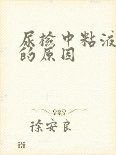 尿检中粘液丝高的原因