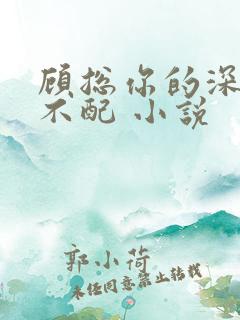 顾总你的深情我不配 小说