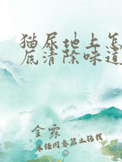 猫尿地上怎么彻底清除味道